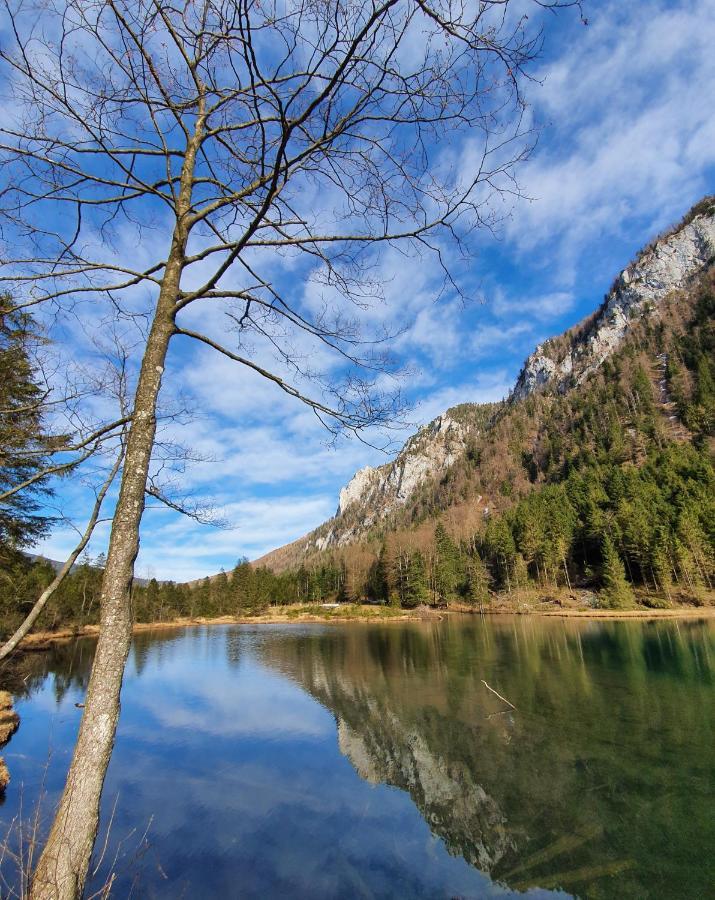 Berglueck Inzell
